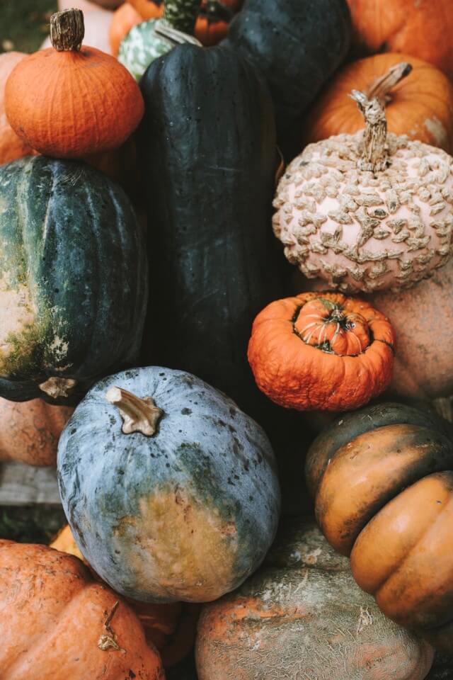 50% when you shop today